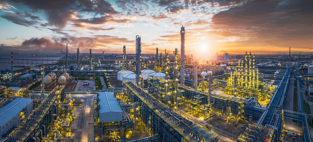 Refined Animal Oils and Derivatives production and industrial application